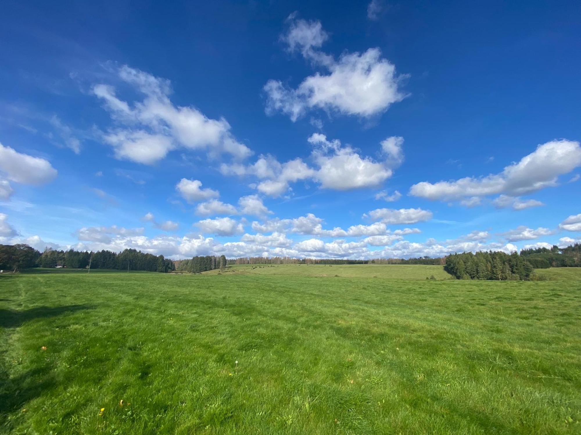 Ferienwohnung Harz #3, Pool, Sauna, Wlan Hohegeiß Exteriör bild