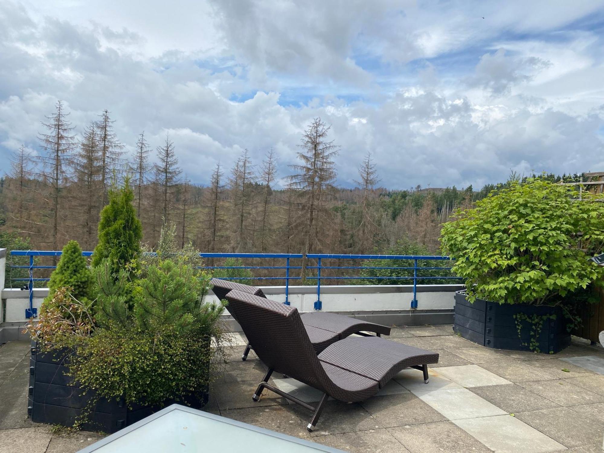 Ferienwohnung Harz #3, Pool, Sauna, Wlan Hohegeiß Exteriör bild